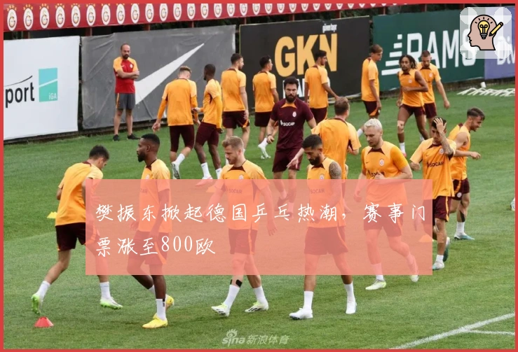 樊振东掀起德国乒乓热潮，赛事门票涨至800欧