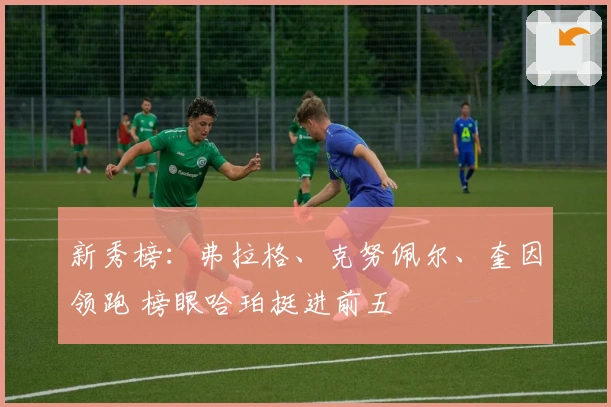 新秀榜：弗拉格、克努佩尔、奎因领跑 榜眼哈珀挺进前五